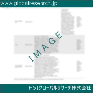 グローバルリサーチ調査資料のイメージ
